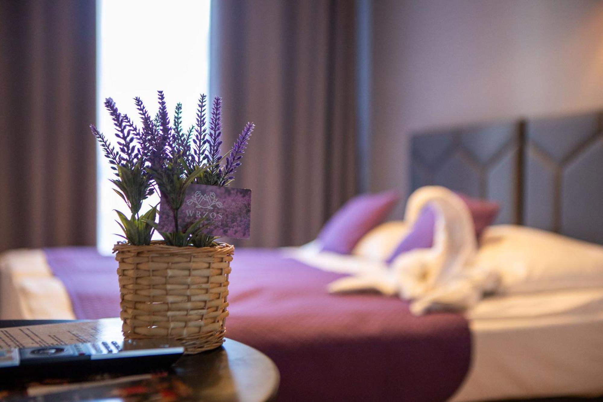 Wrzos Resort & Wellness Венґерська Ґурка Екстер'єр фото